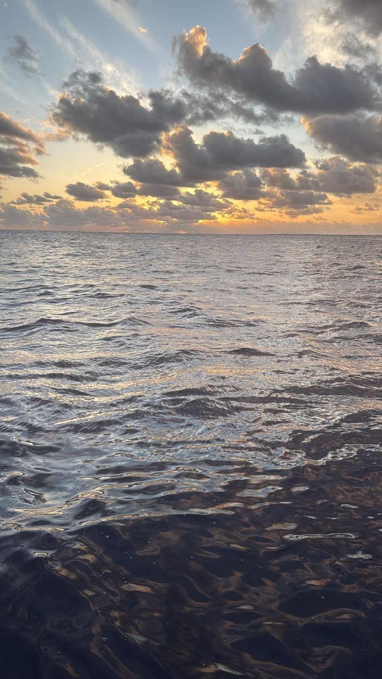 Voyage photo from Final passage of the year