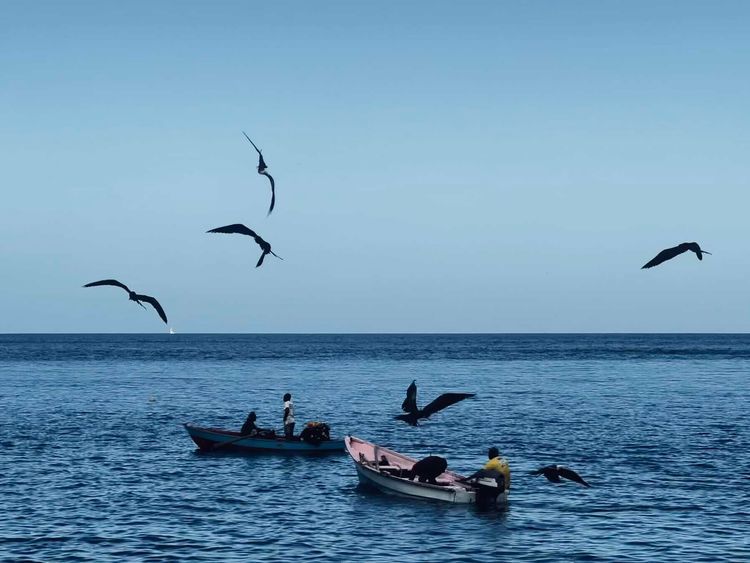 Voyage photo from WI03 St.Vincent - Bequia