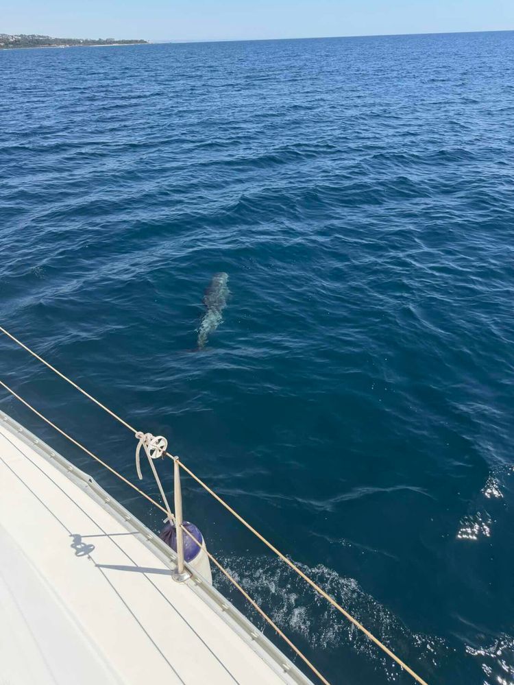 Voyage photo from Charter