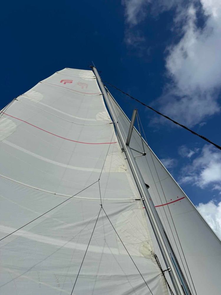 Voyage photo from Christmas Cruise 2025 - Magi Bay