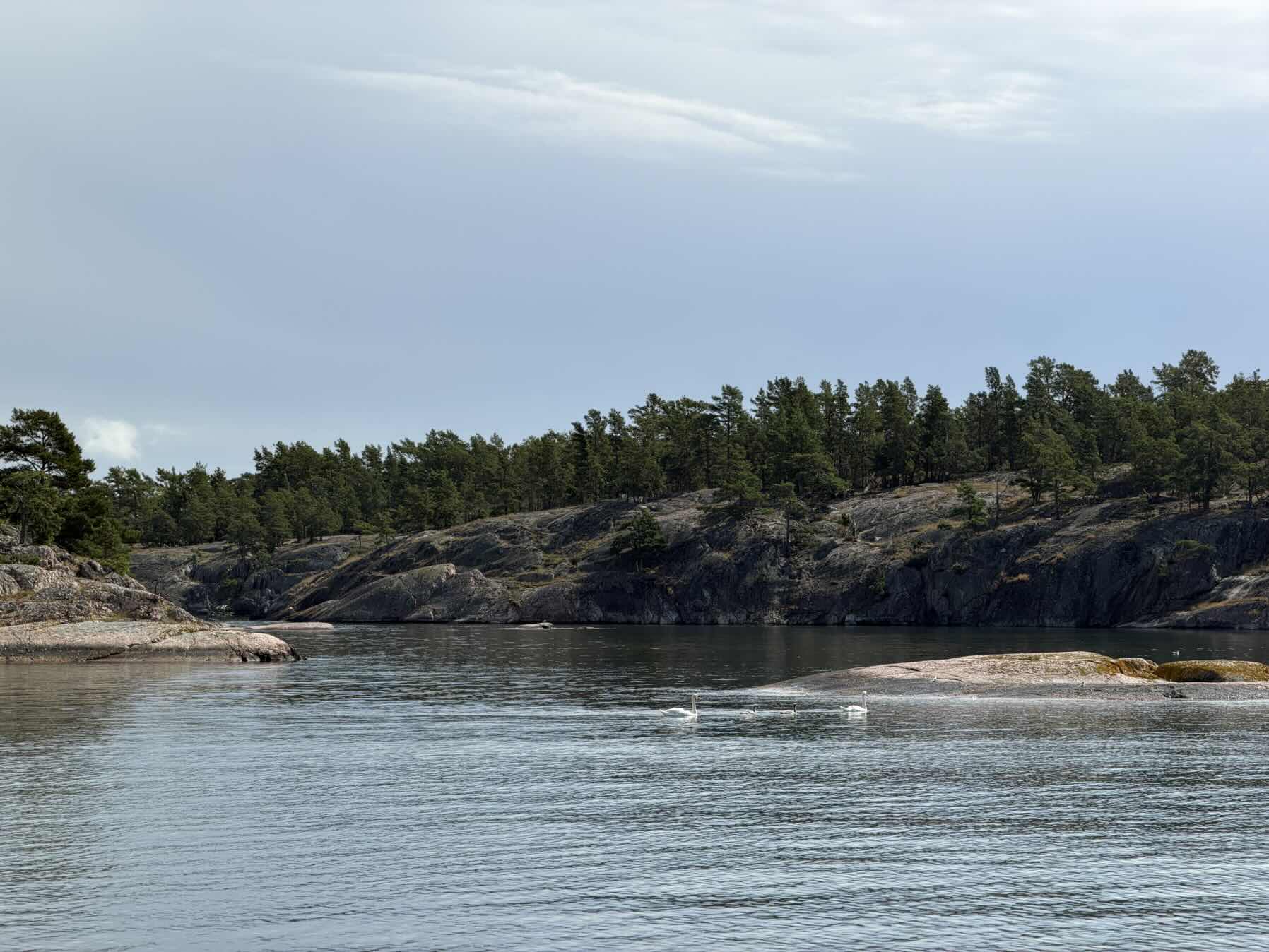 Uto Kyrkvicken_F57063D1-1F06-4A82-9D19-7852461F73EB