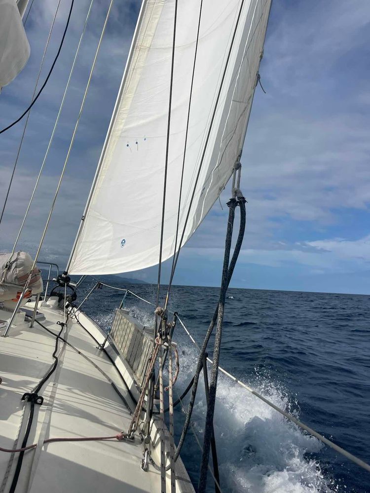 Voyage photo from Down to Koro Island