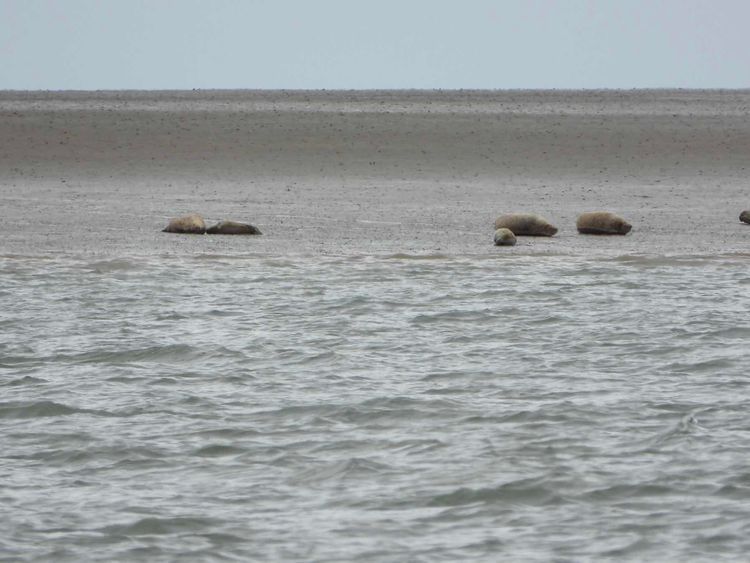Voyage photo from …and the rest of the way into deepest, darkest Essex - Brightlingsea.