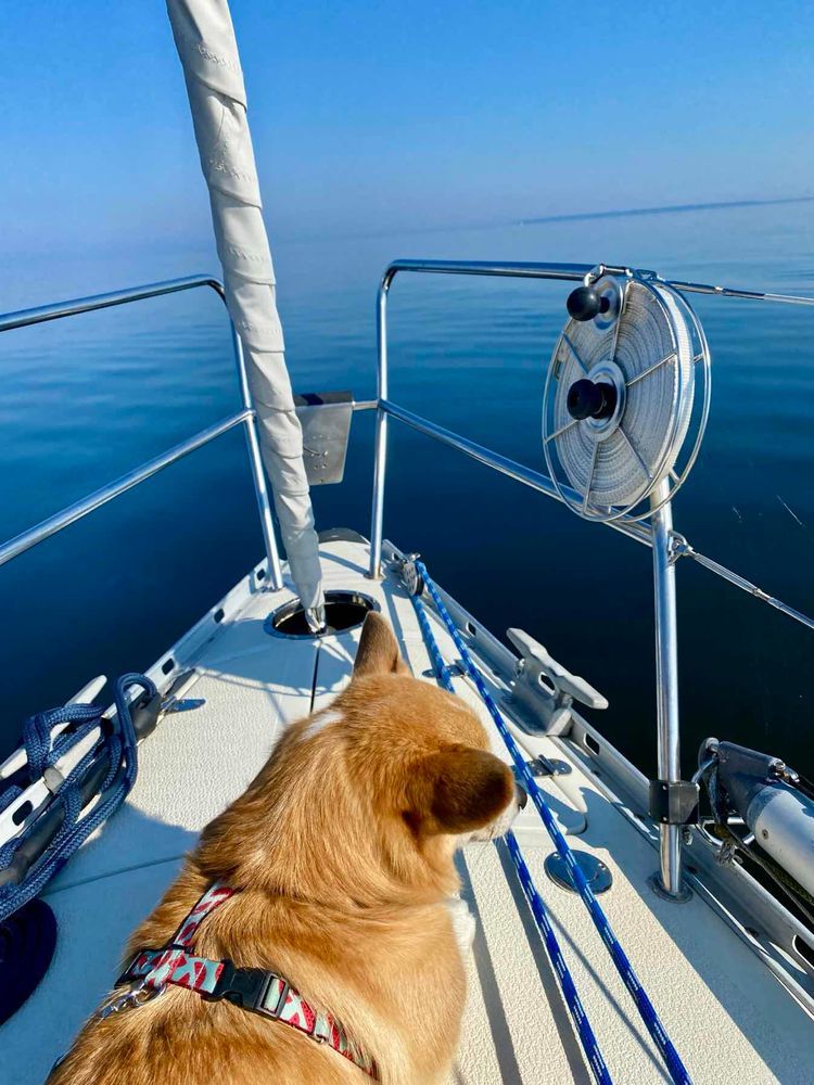 Voyage photo from 