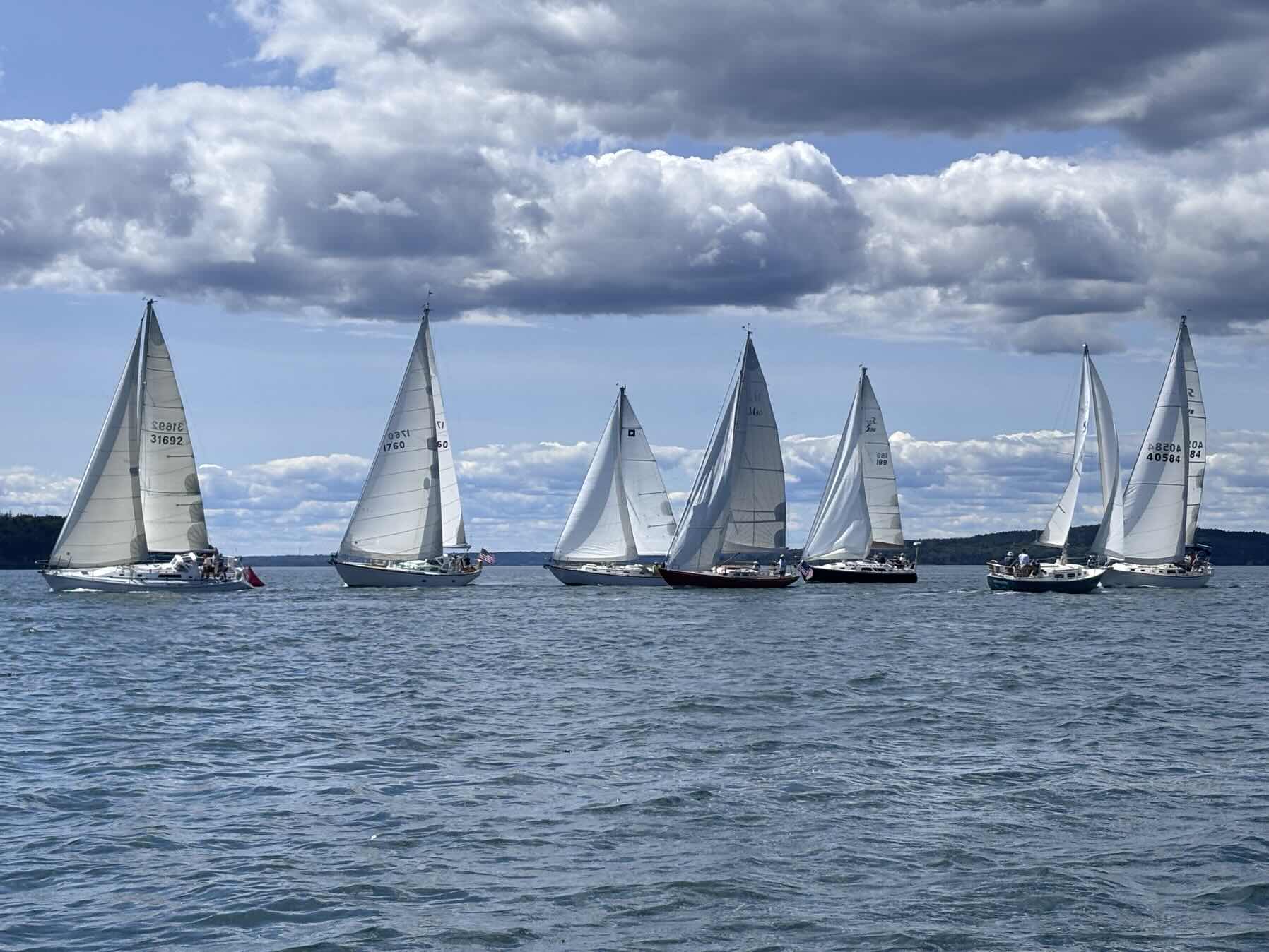 Backside Regatta 2026_DAAC6DFB-A34B-4FD7-9F08-6C7427B2E804