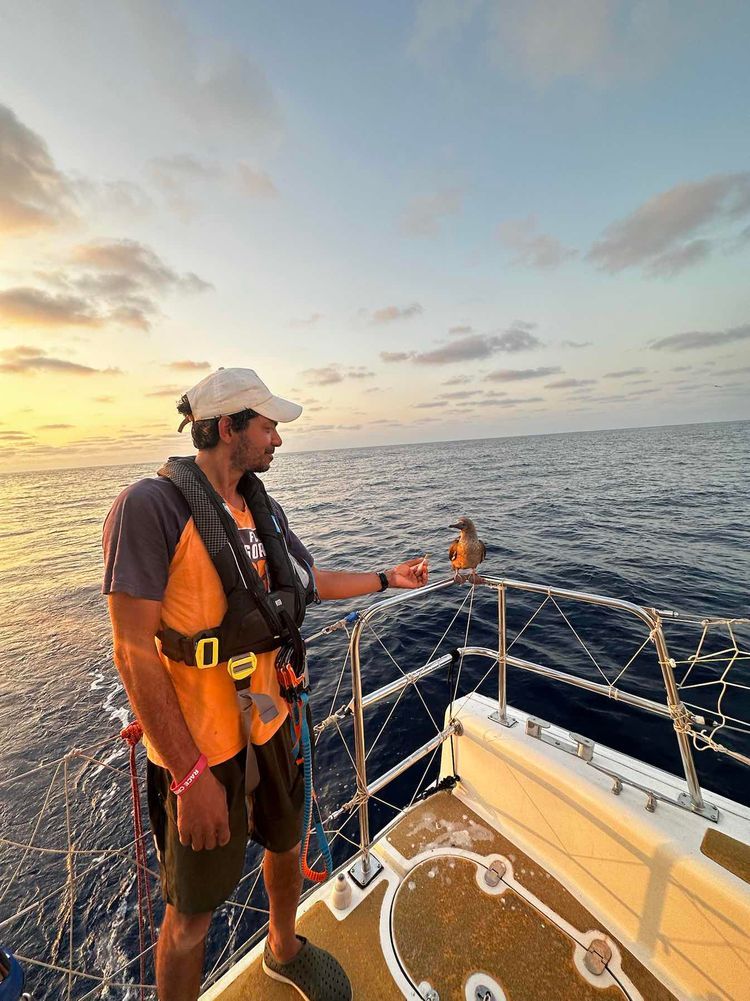 Voyage photo from Clipper Race Seattle to Panama 