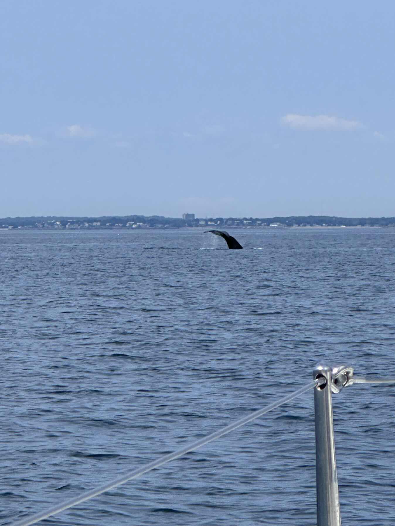Ptown to MHD delivery _11F78C18-D27D-4209-B768-B9A0D5797AA8