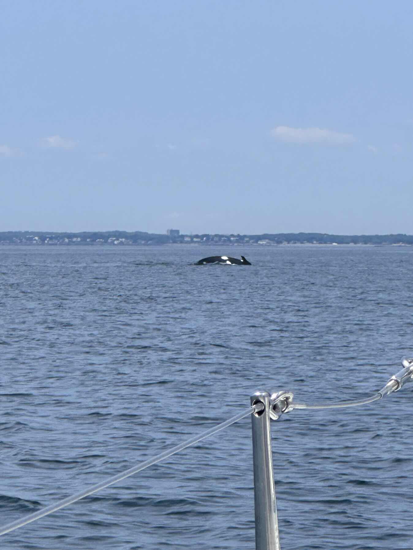 Ptown to MHD delivery _B86BFD06-E3A5-432B-A4FD-31D1071733A3