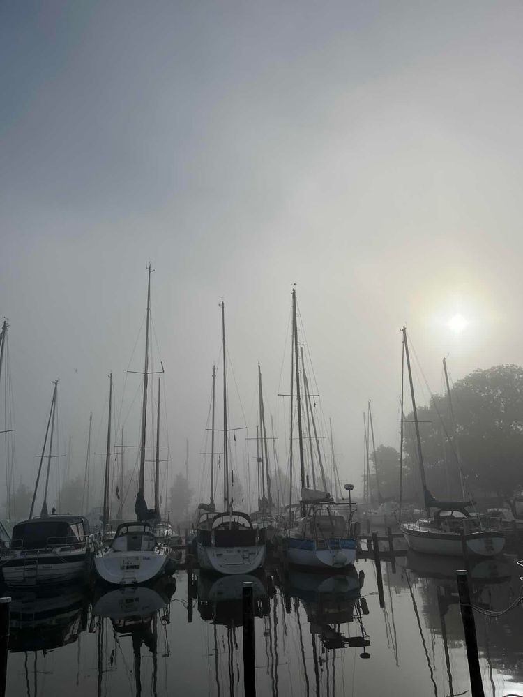 Voyage photo from Heegermeer