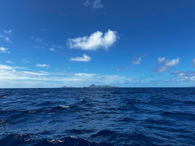 Voyage photo from Cour Élémentaire Guadeloupe Jour 3