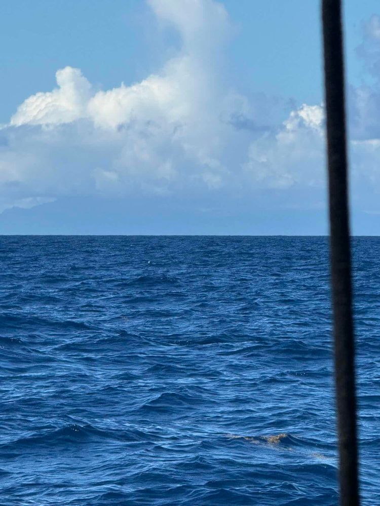 Voyage photo from Demystifying sailing myths 😎
Not really