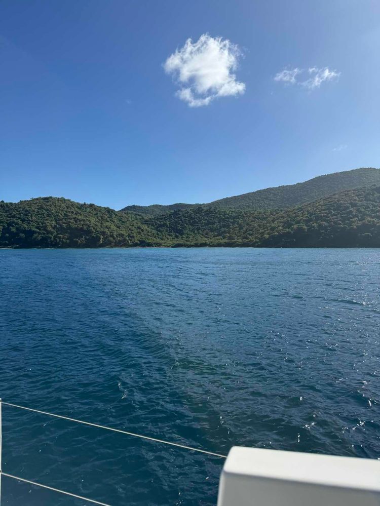 Voyage photo from Christmas Cruise 2025 - Coral Bay