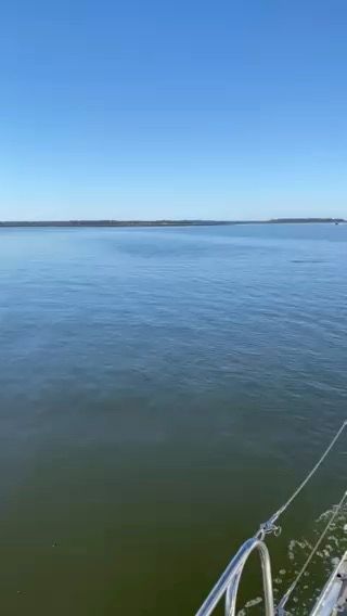 Voyage photo from Up a creek. Why Fernandina?