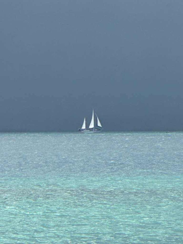 Voyage photo from Esnesdup to Salurdup