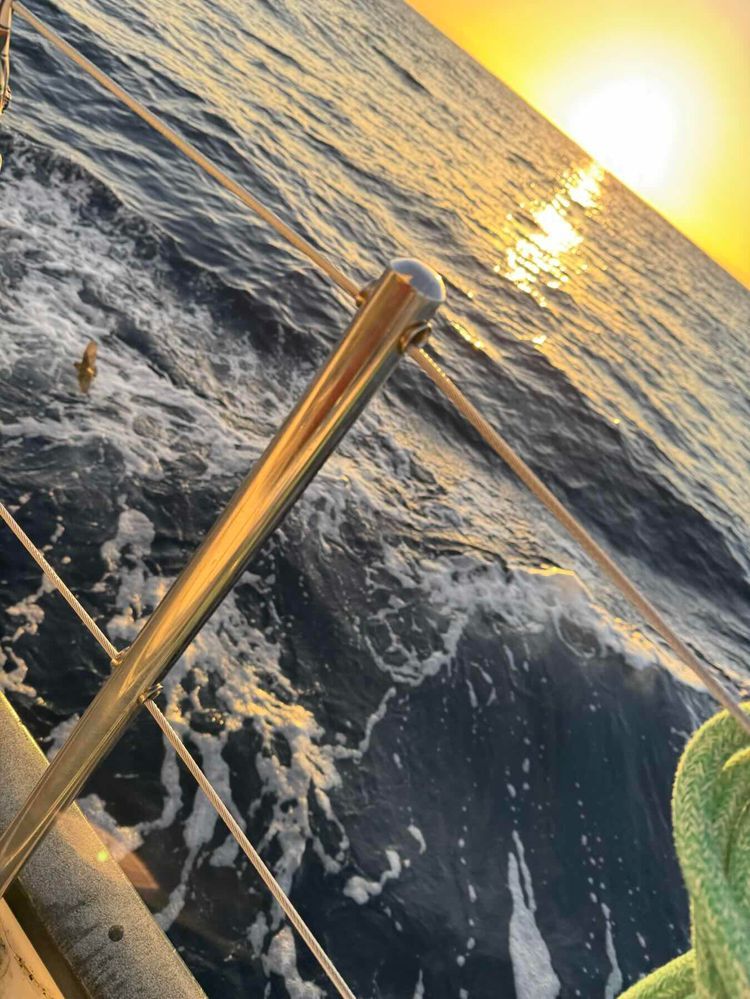 Voyage photo from South to the Trade Winds, Rubicon 3