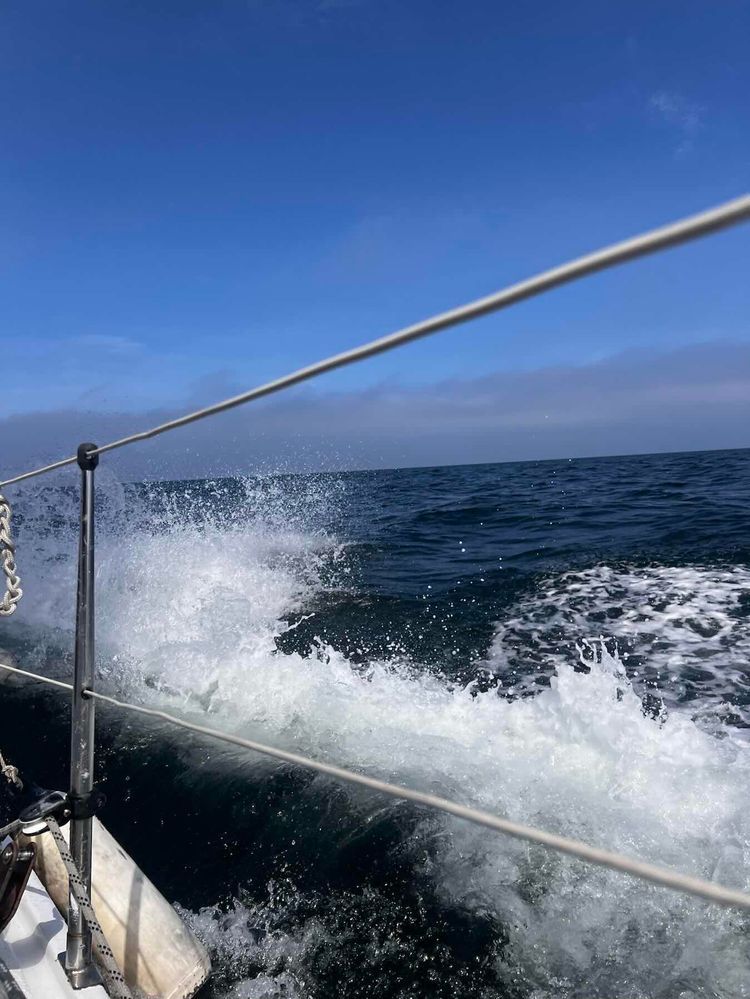Voyage photo from The way to Bornholm. Passage 6. Heiligenhafen - Kiel