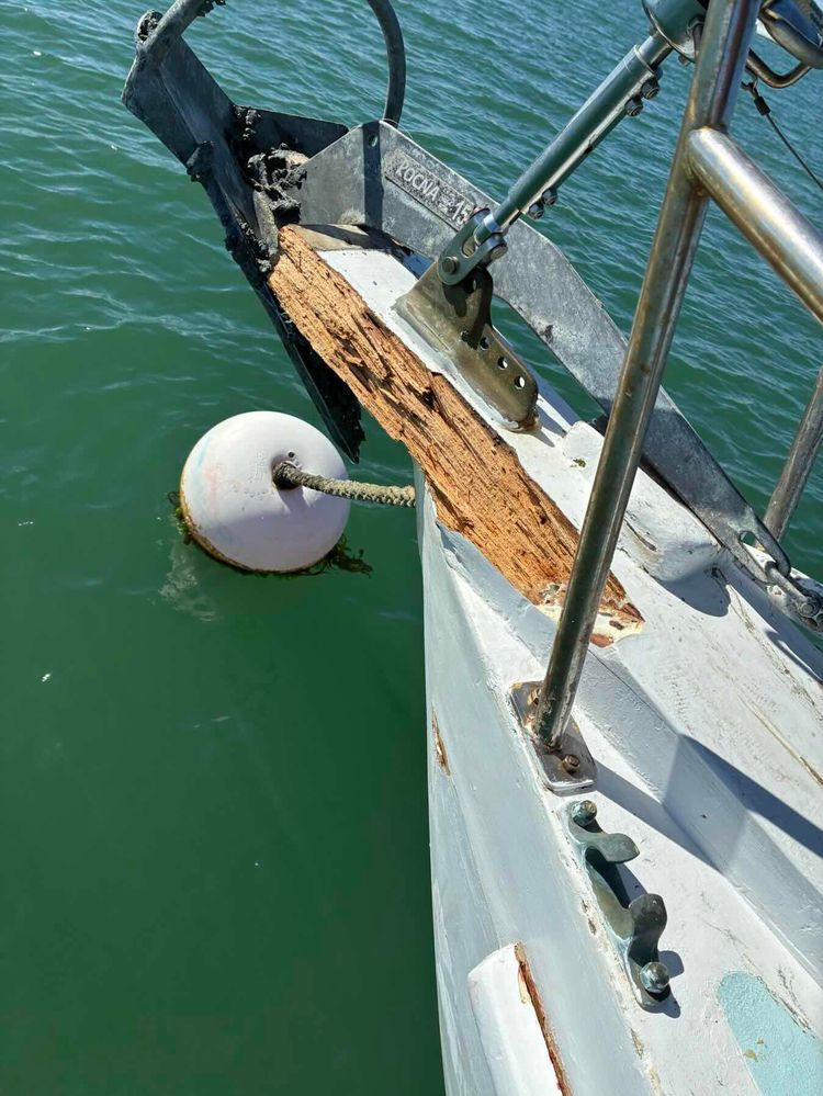 Voyage photo from Putiki bay to half moon
