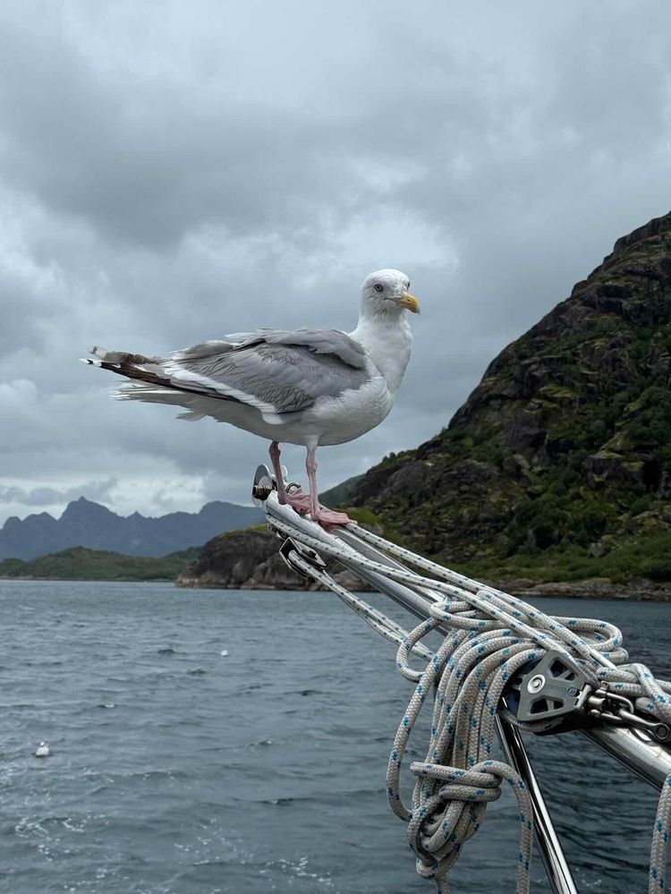 Voyage photo from 