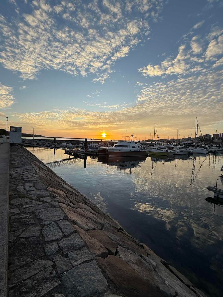 Voyage photo from The sun is back