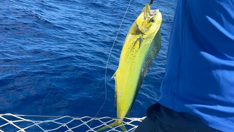 Voyage photo from Cape Santa Maria Long Island to Old Bight Cat Island