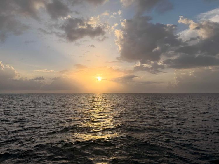 Voyage photo from Tobacco Caye to Starfish Island