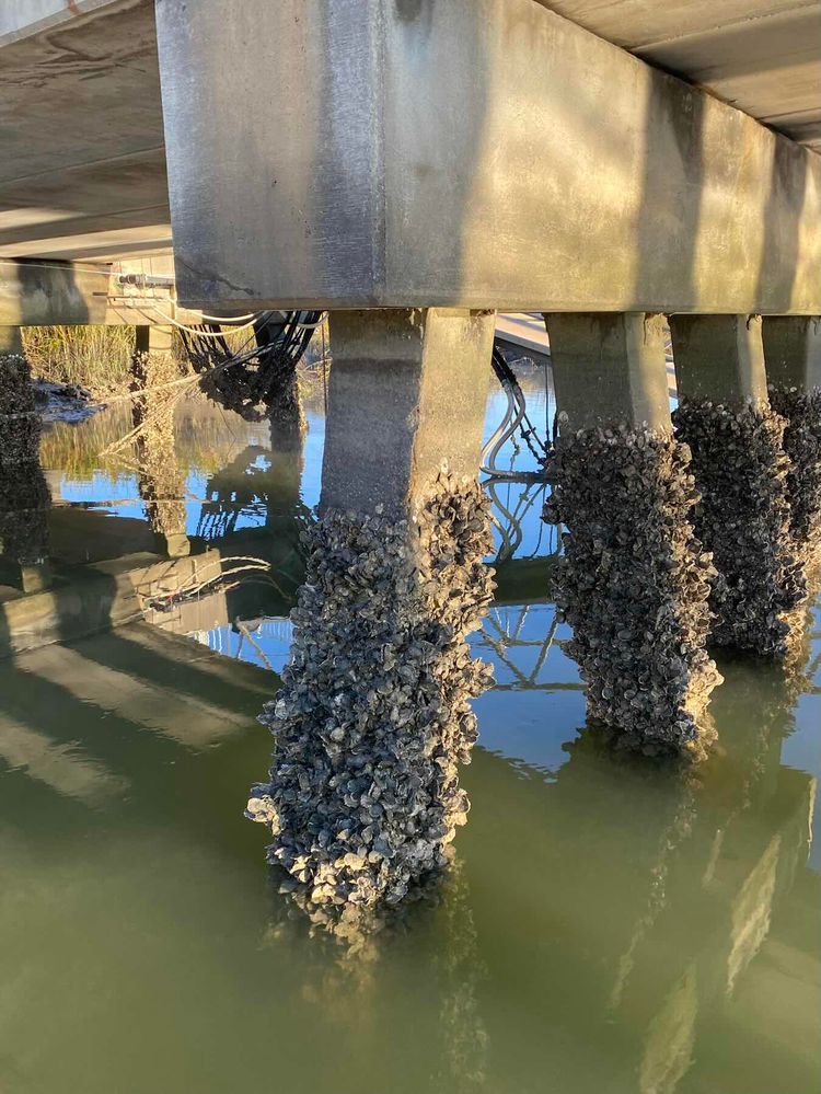 Voyage photo from Thunderbolt to Green Island