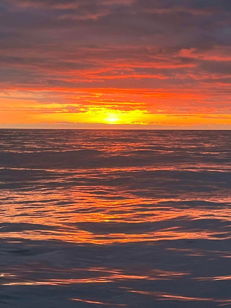 Voyage photo from Crew