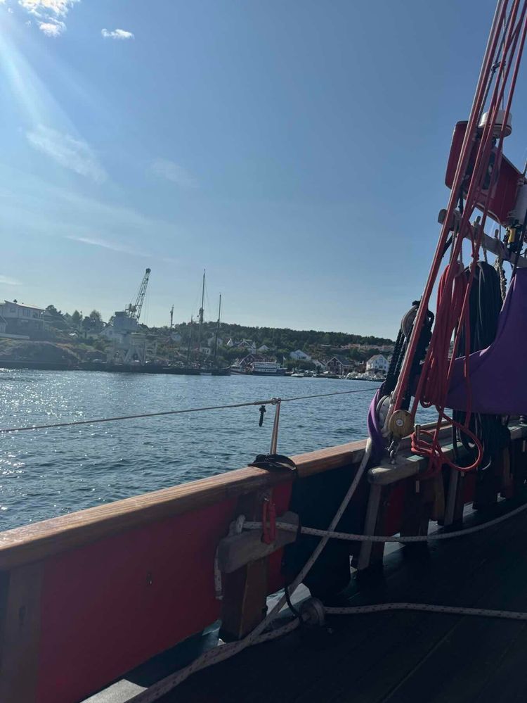 Voyage photo from Tall Ships Race ‘25 Leg 3 - Cruise in Company Day 3