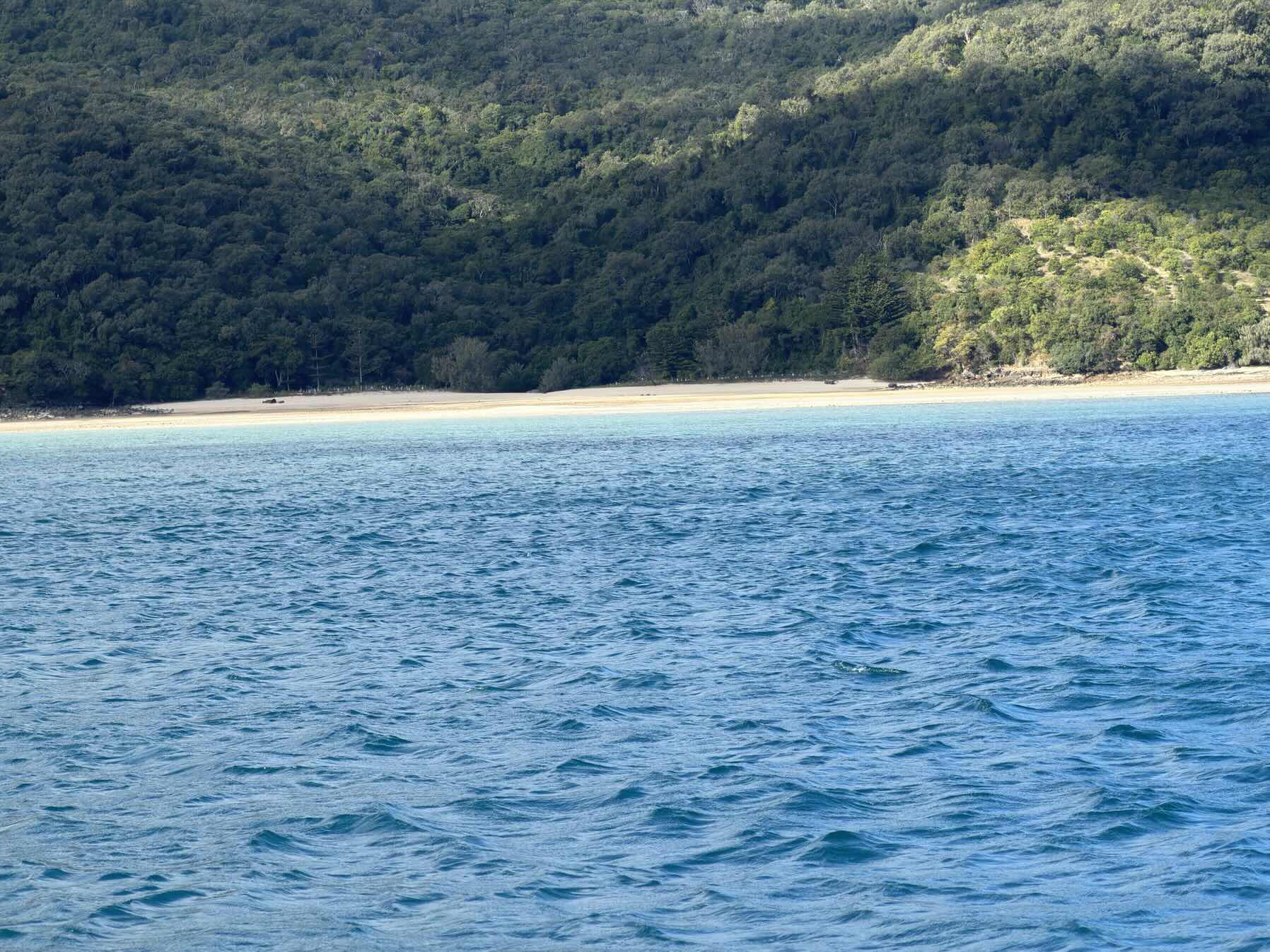 Hammo to Keswick Island _8AAD6A7E-03E1-439C-AAE6-CC9FFF281A68