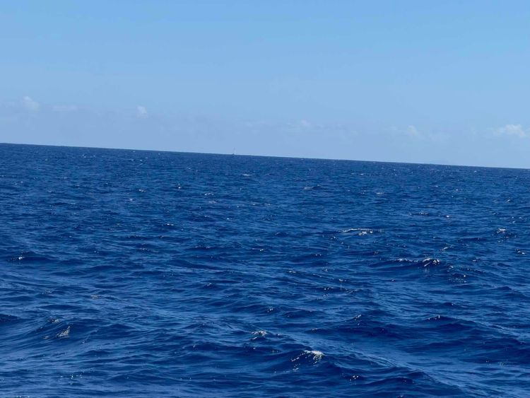 Voyage photo from Day 6 Tahiti Ta Ta