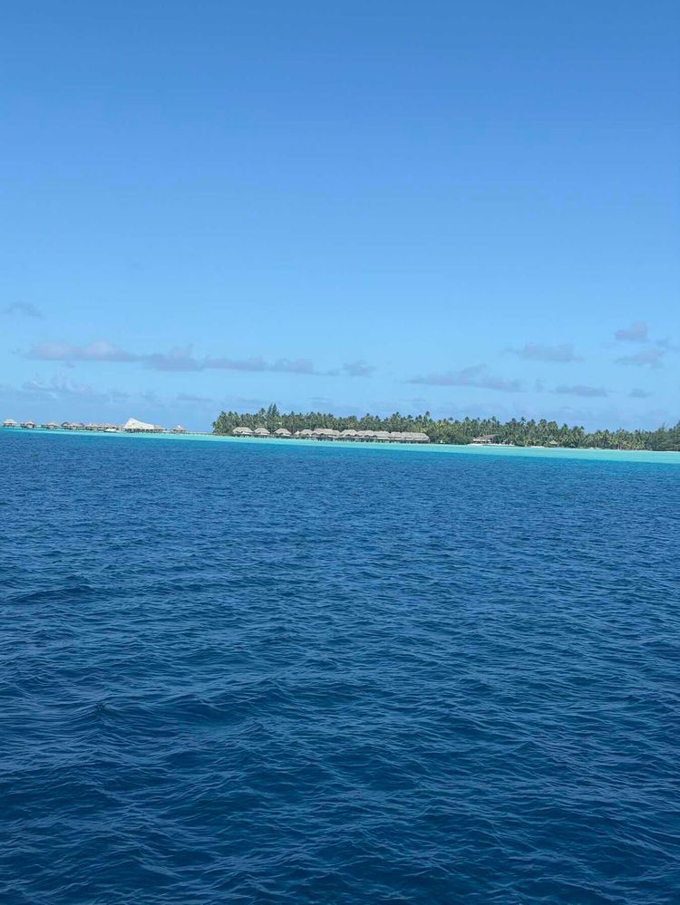 Voyage photo from Day 6 Tahiti Ta Ta