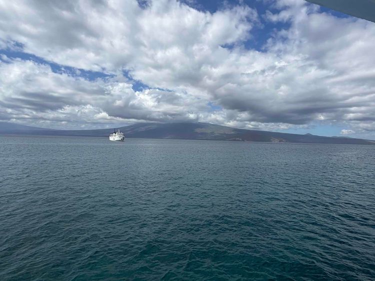 Voyage photo from Tagus Cove, Isabela to Punta Espinosa, Fernandina
