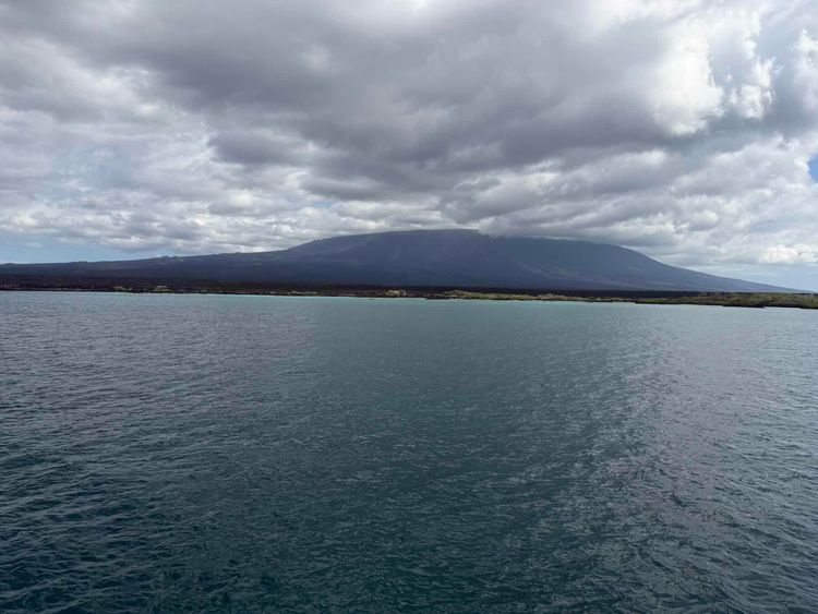 Voyage photo from Tagus Cove, Isabela to Punta Espinosa, Fernandina