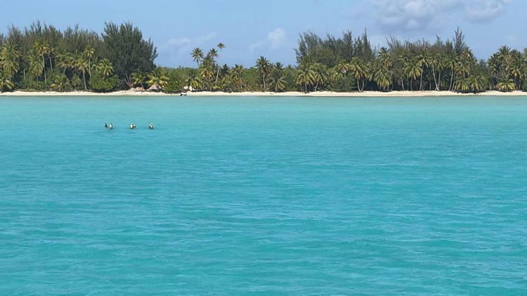 Voyage photo from Iorana à Bora Bora