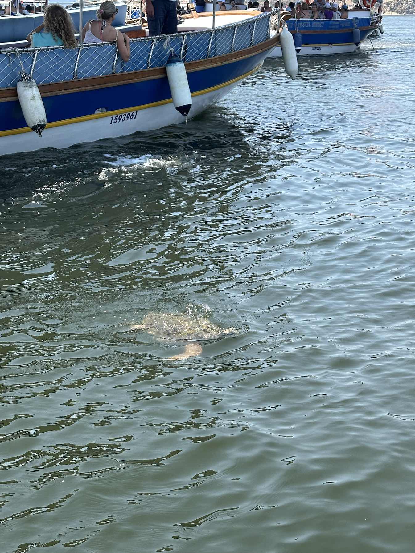 Türkiye 25’_99076046-FB4E-4C83-ACCC-4C407E049120