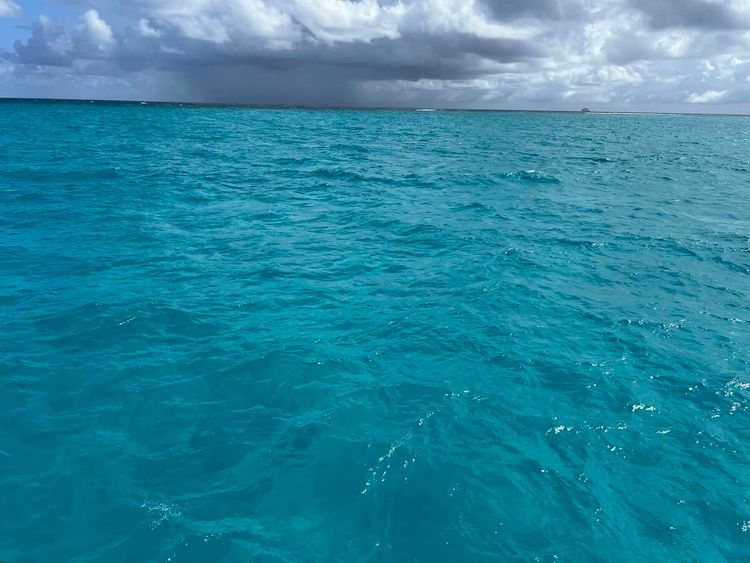 Voyage photo from Island Hop-Tobago Cays to Marine Park