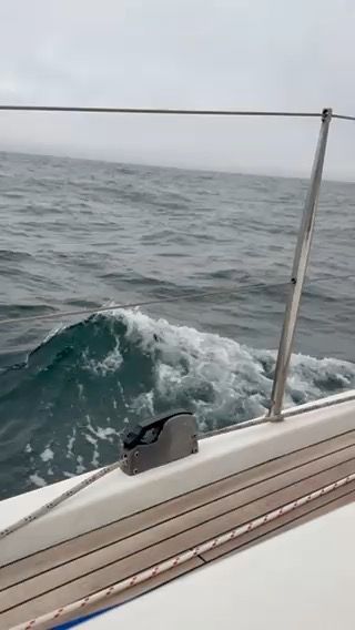 Voyage photo from Braye to Haslar