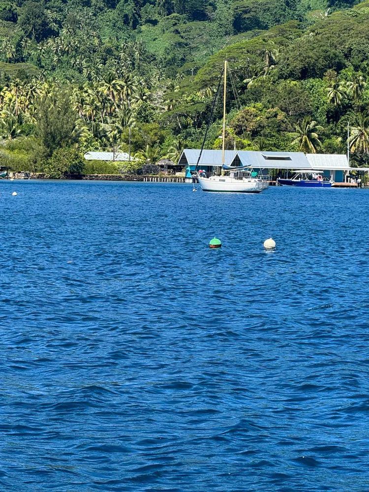 Voyage photo from Tour de Taha’a par le nord.