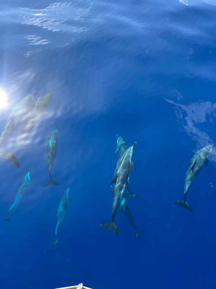 Voyage photo from Mauritius to Richards Bay