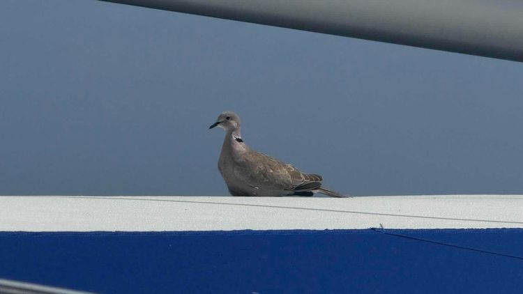 Voyage photo from 