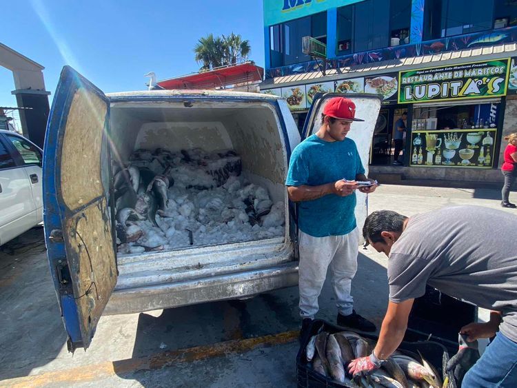 Voyage photo from SD to Ensenada // Baja Haha on ADRENALIN