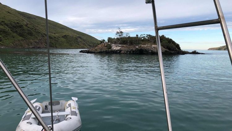 Voyage photo from Sail over to Port Levy