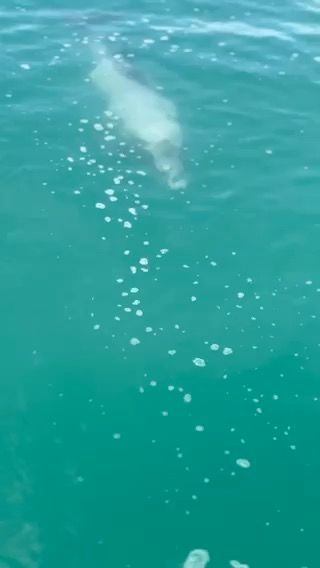 Voyage photo from Sail over to Port Levy