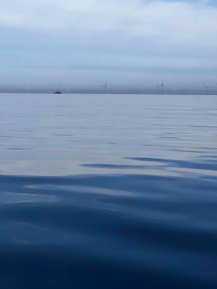 Voyage photo from The way to Bornholm. Passage 2. Barhöft – Rønne