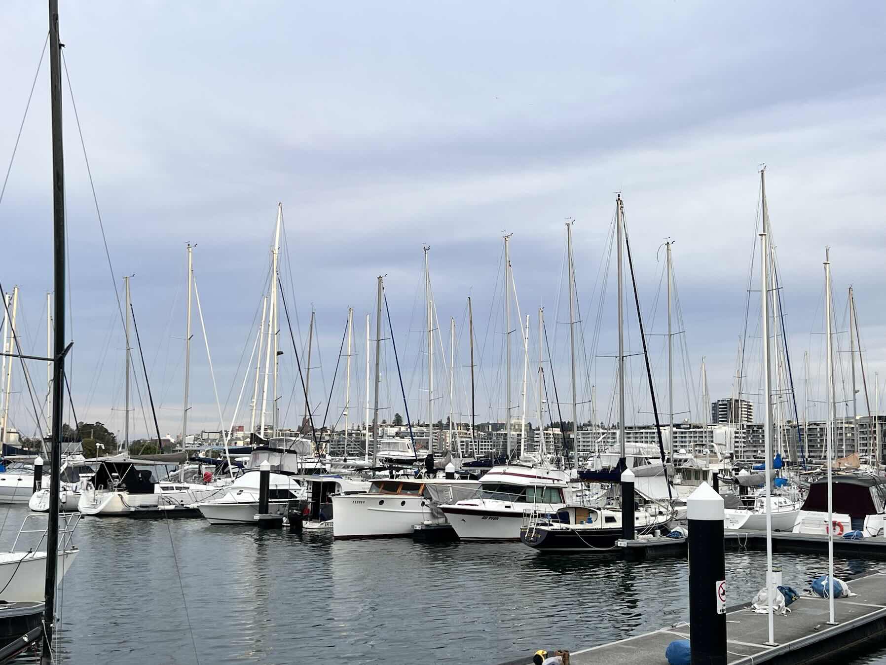 Port Stephens to Newcastle great run.._136A4C54-7FFE-4AD7-889F-1CDA61C59BEA