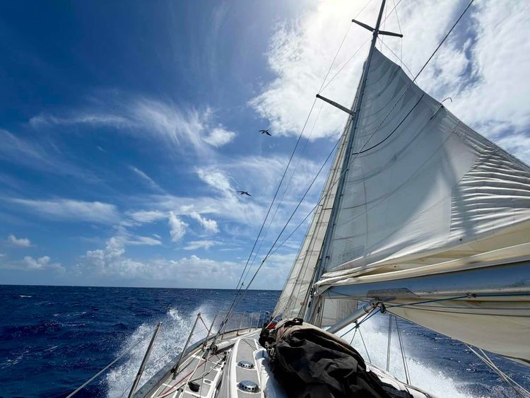 Voyage photo from Rubicon 3 St Maarten to St Kitts