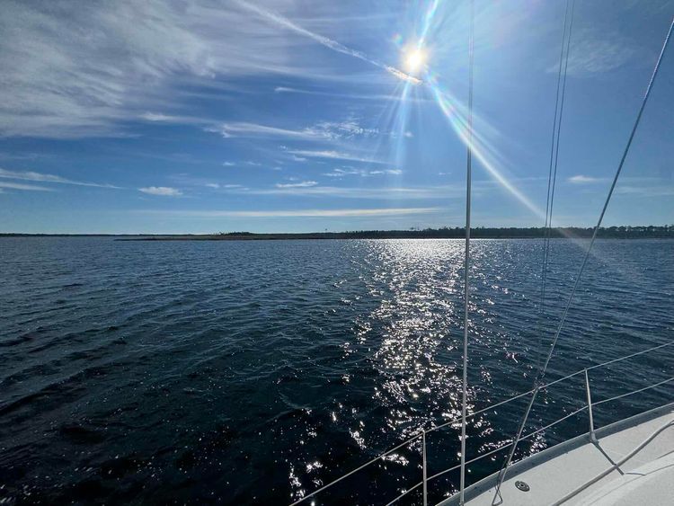 Voyage photo from Pungo River Canal exit to Campbell Creek 