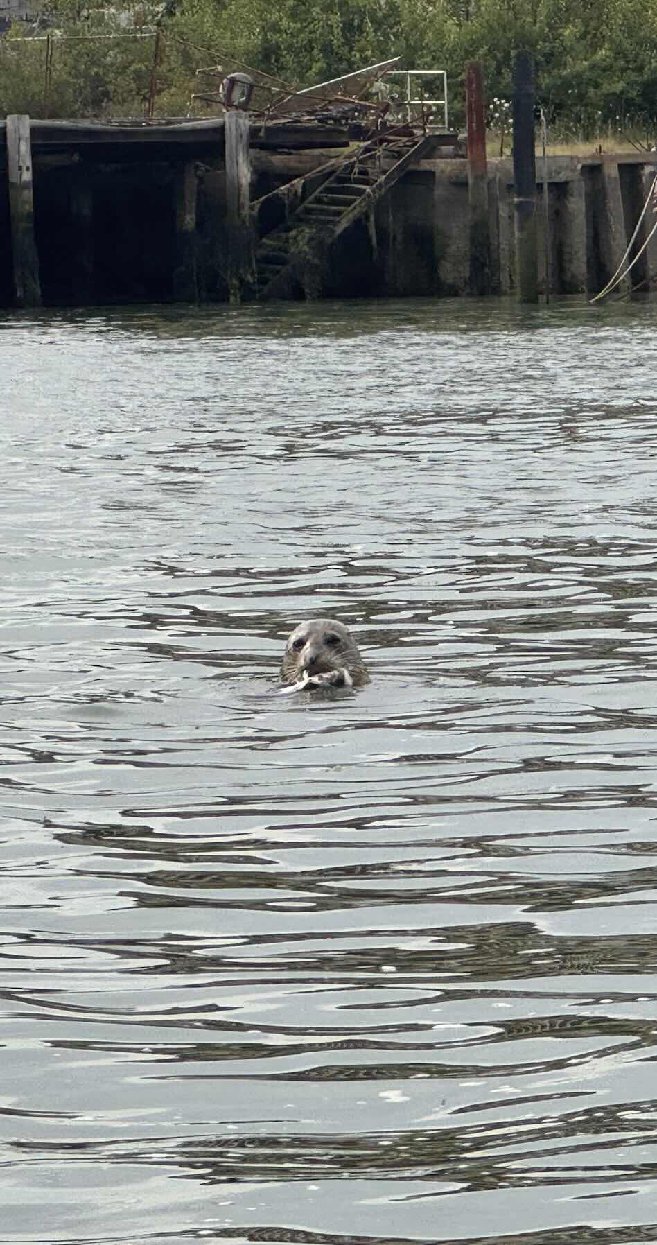 Folly via Osbourne Bay_BE297D10-AD90-4B08-BACB-74C65D35C6FA