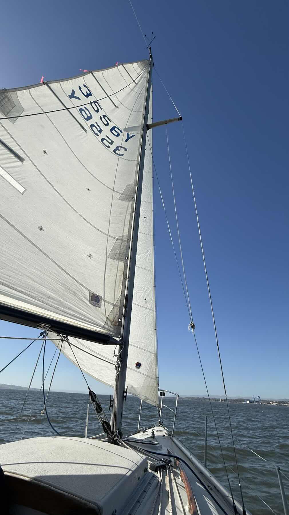 Kittiwake Accreditation_6D5AB504-ADF2-4902-91C2-A925C02FCE12