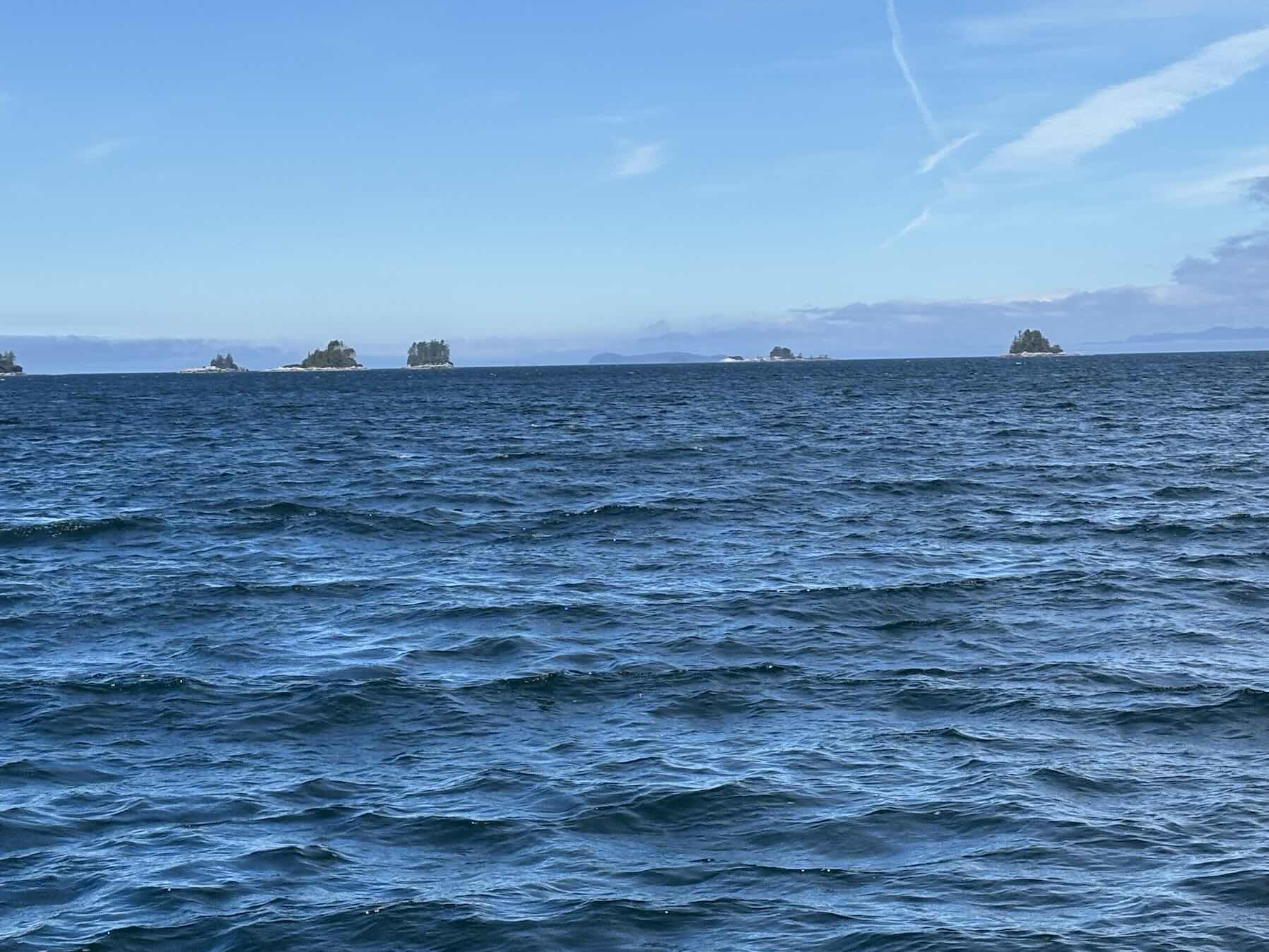 Day 15 - Crease Island to Waddington Bay_55BBBD30-35D1-4A55-9BFE-8CB8C4007F54